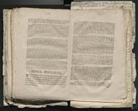 1_335_0_0_313-1_0217