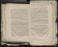 1_335_0_0_313-1_0218