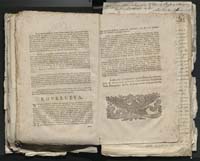 1_335_0_0_313-1_0222