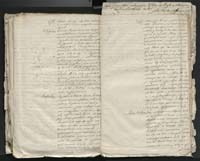 1_335_0_0_313-1_0225