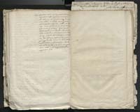 1_335_0_0_313-1_0226