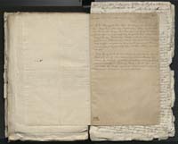 1_335_0_0_313-1_0240