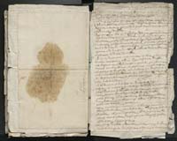 1_335_0_0_313-1_0253