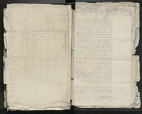 1_335_0_0_313-1_0255