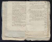 1_335_0_0_313-10_0008