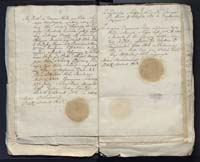 1_335_0_0_313-10_0014