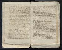 1_335_0_0_313-10_0017