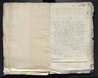 1_335_0_0_313-10_0123