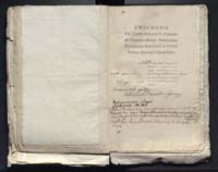 1_335_0_0_313-10_0161