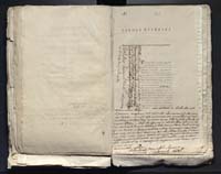 1_335_0_0_313-10_0162