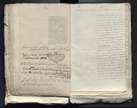 1_335_0_0_313-10_0164