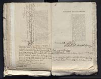 1_335_0_0_313-10_0168