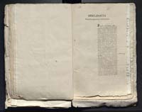 1_335_0_0_313-10_0169