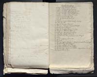 1_335_0_0_313-10_0181