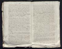 1_335_0_0_313-10_0204