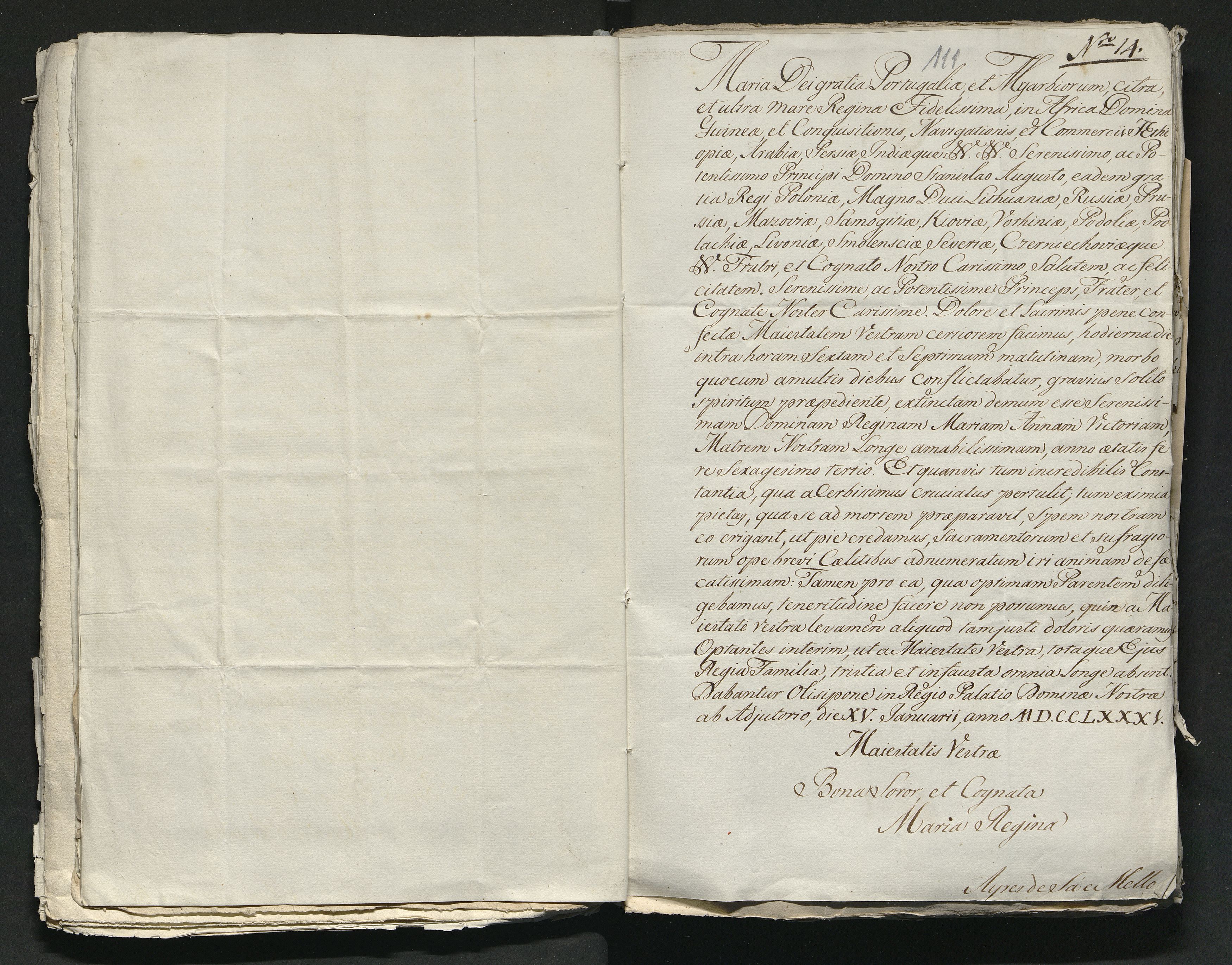 1_335_0_0_313-11_0071