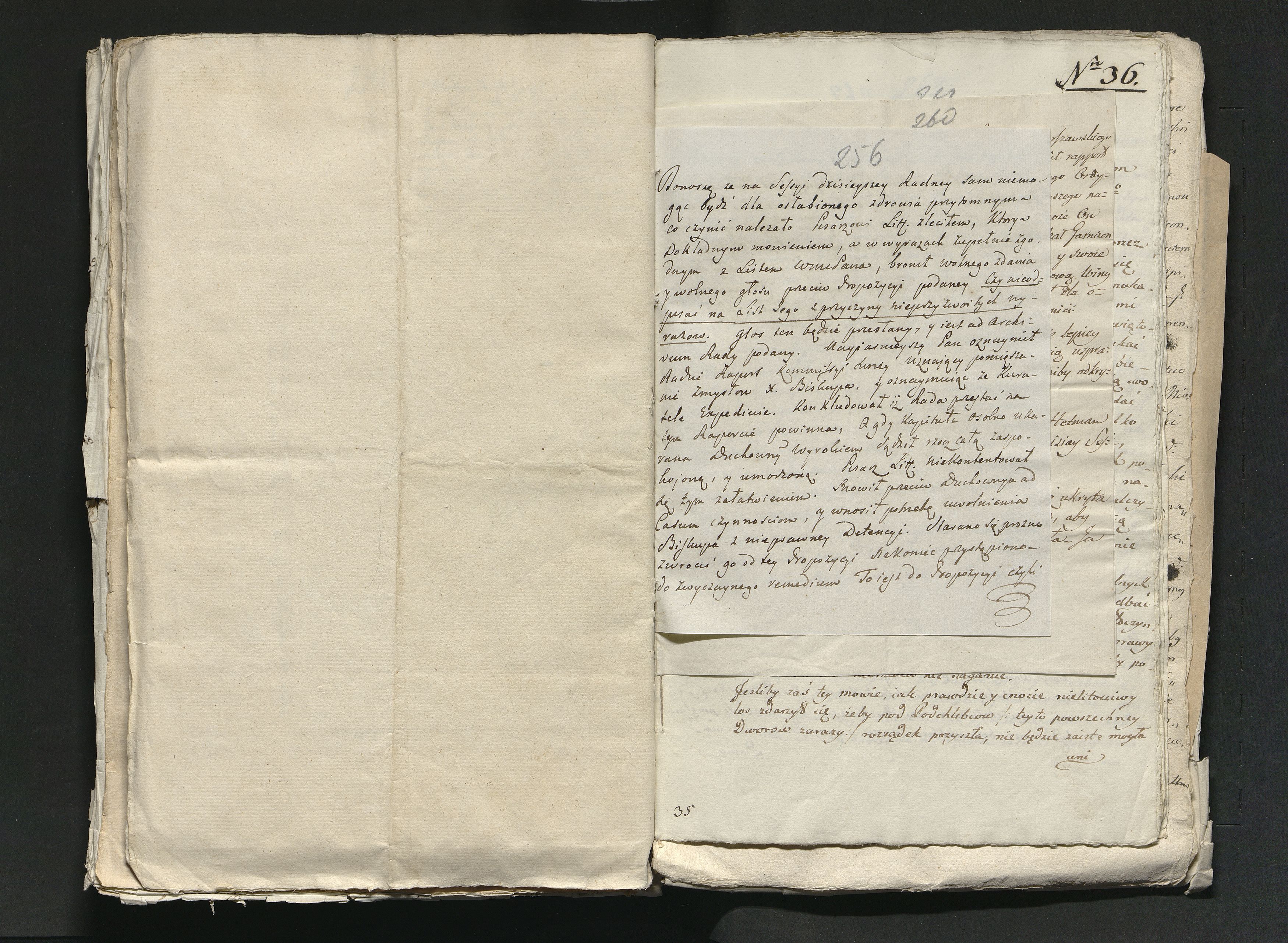 1_335_0_0_313-11_0165