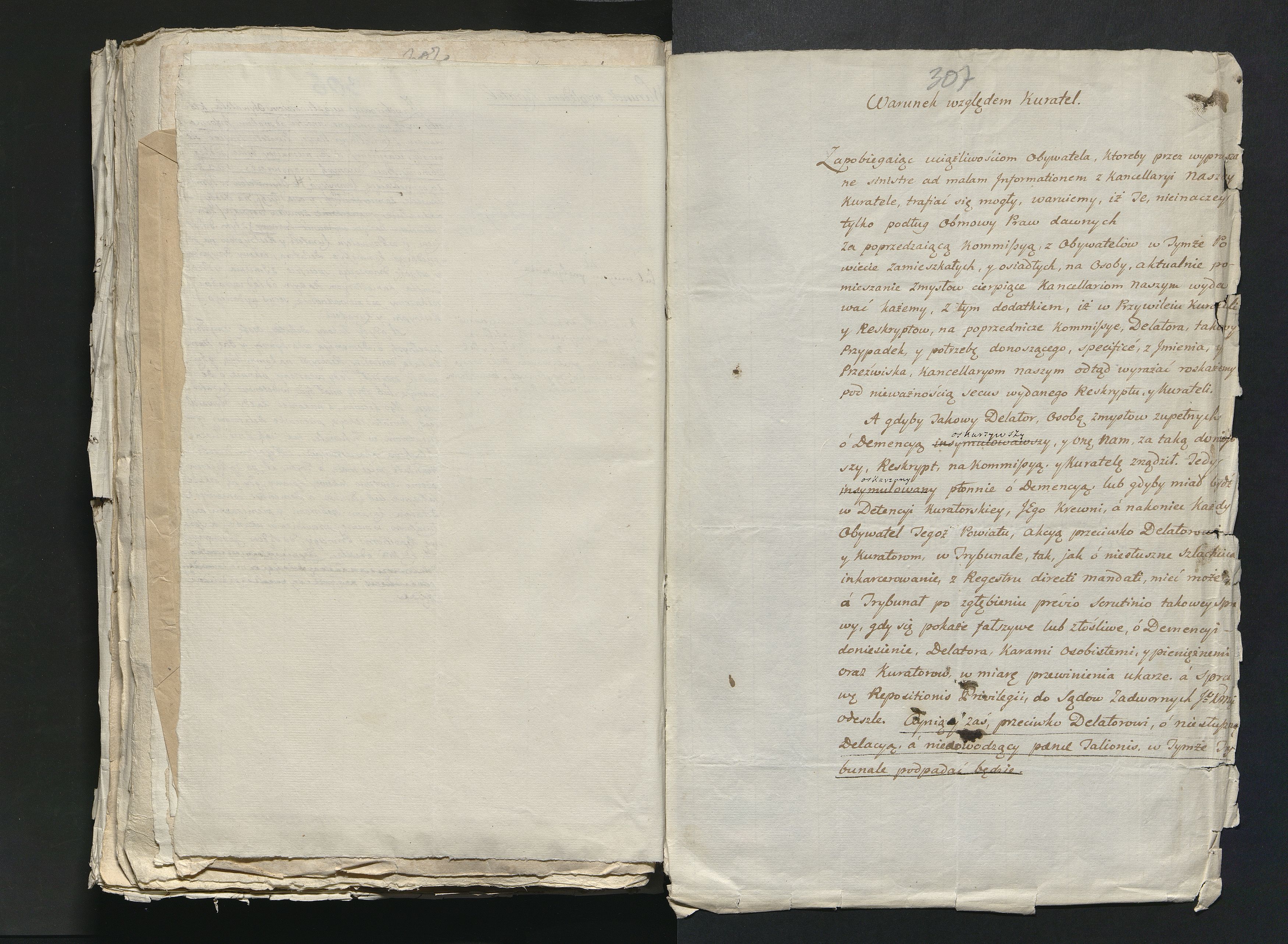 1_335_0_0_313-11_0196