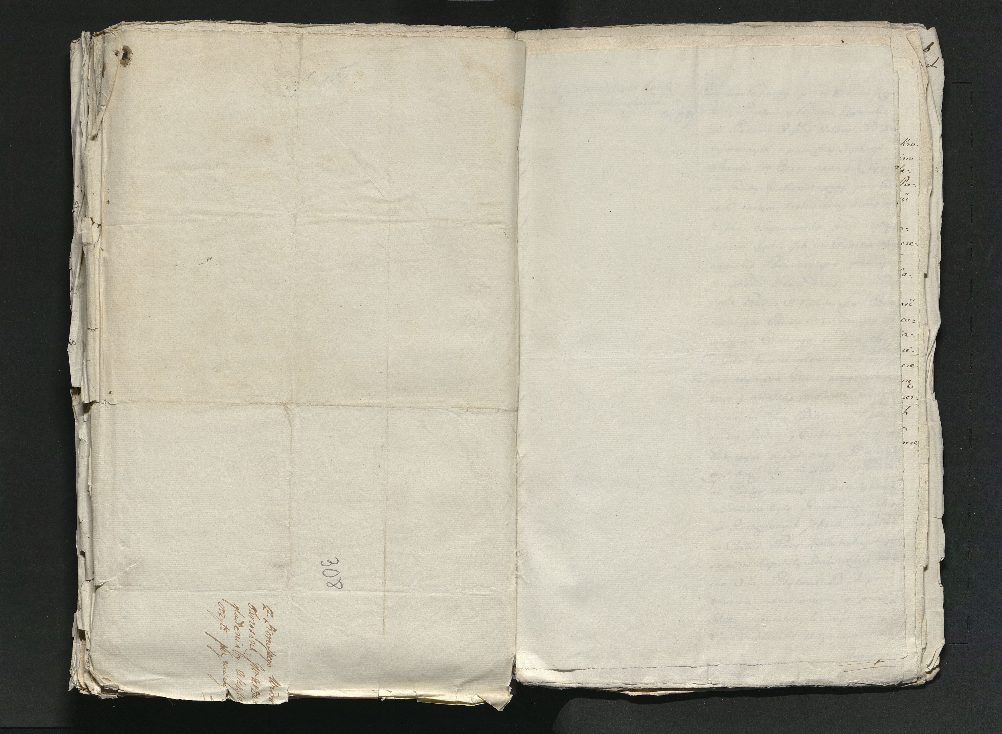 1_335_0_0_313-11_0197