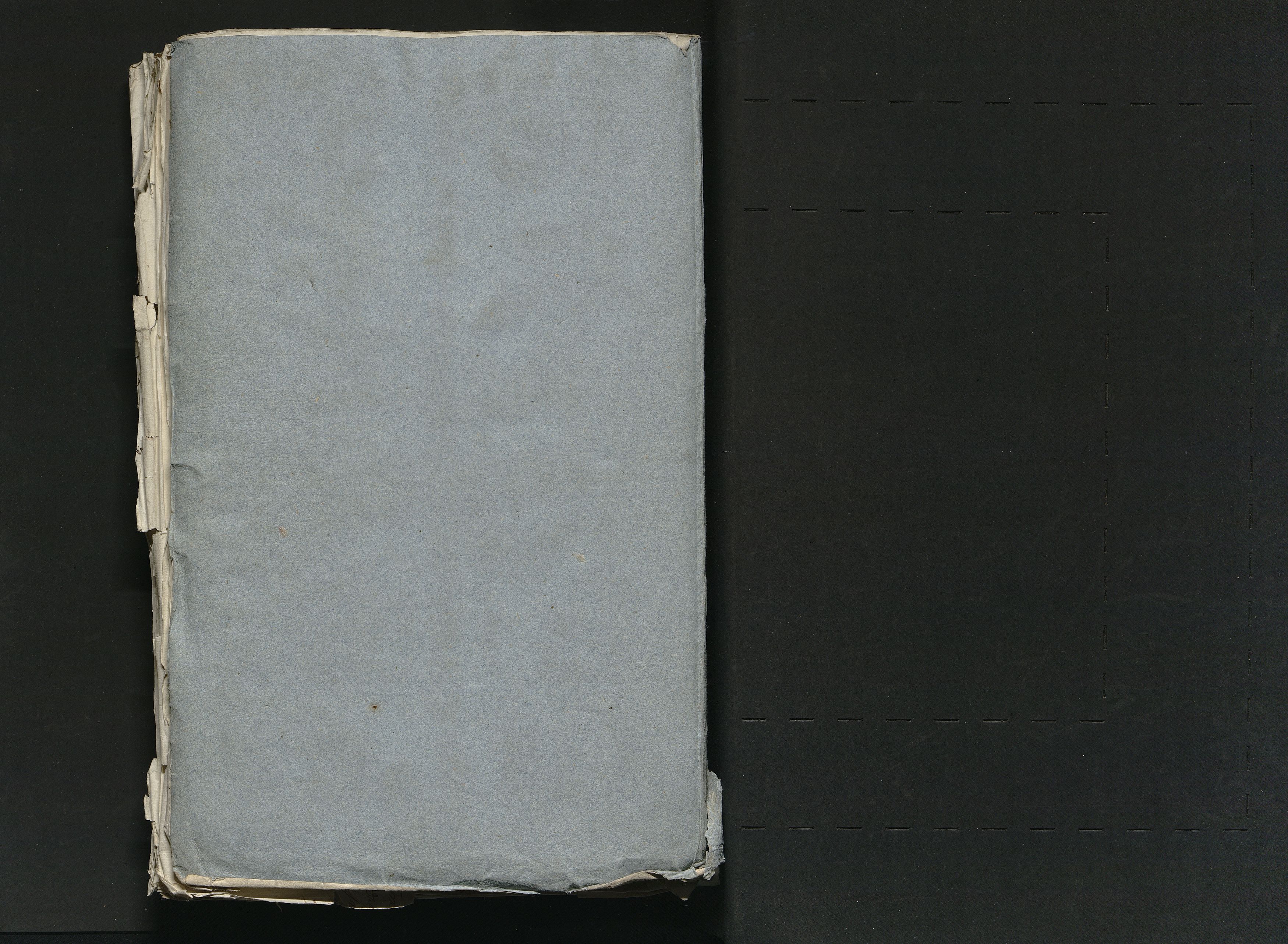 1_335_0_0_313-11_0239_okladka