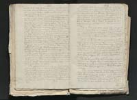 1_335_0_0_313-11_0146