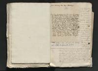 1_335_0_0_313-11_0184