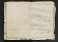 1_335_0_0_313-11_0189