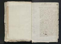 1_335_0_0_313-11_0196