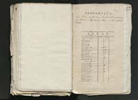 1_335_0_0_313-11_0222