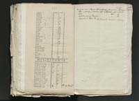 1_335_0_0_313-11_0224