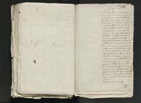 1_335_0_0_313-11_0237