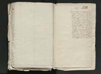 1_335_0_0_313-11_0238