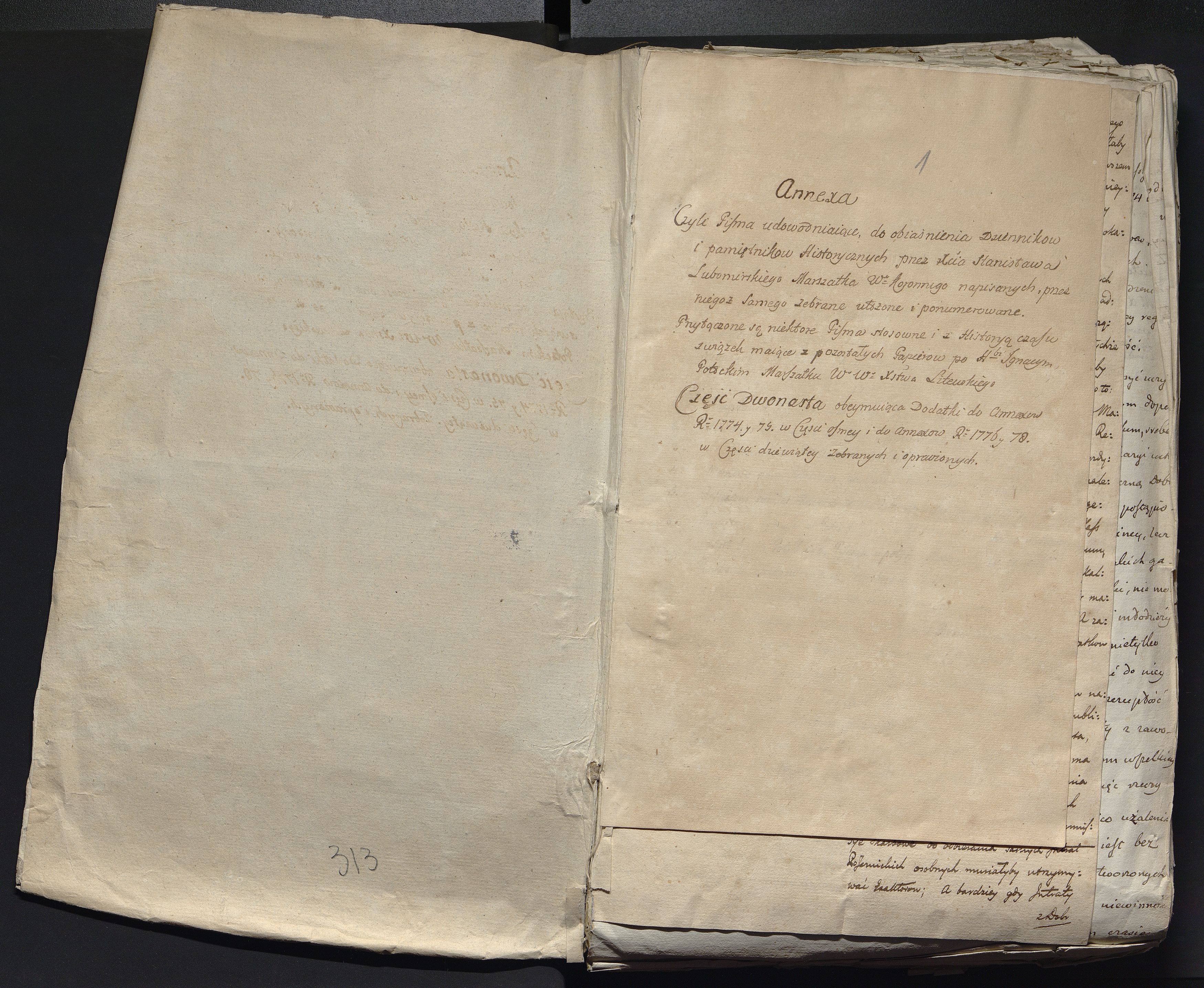 1_335_0_0_313-12_0001