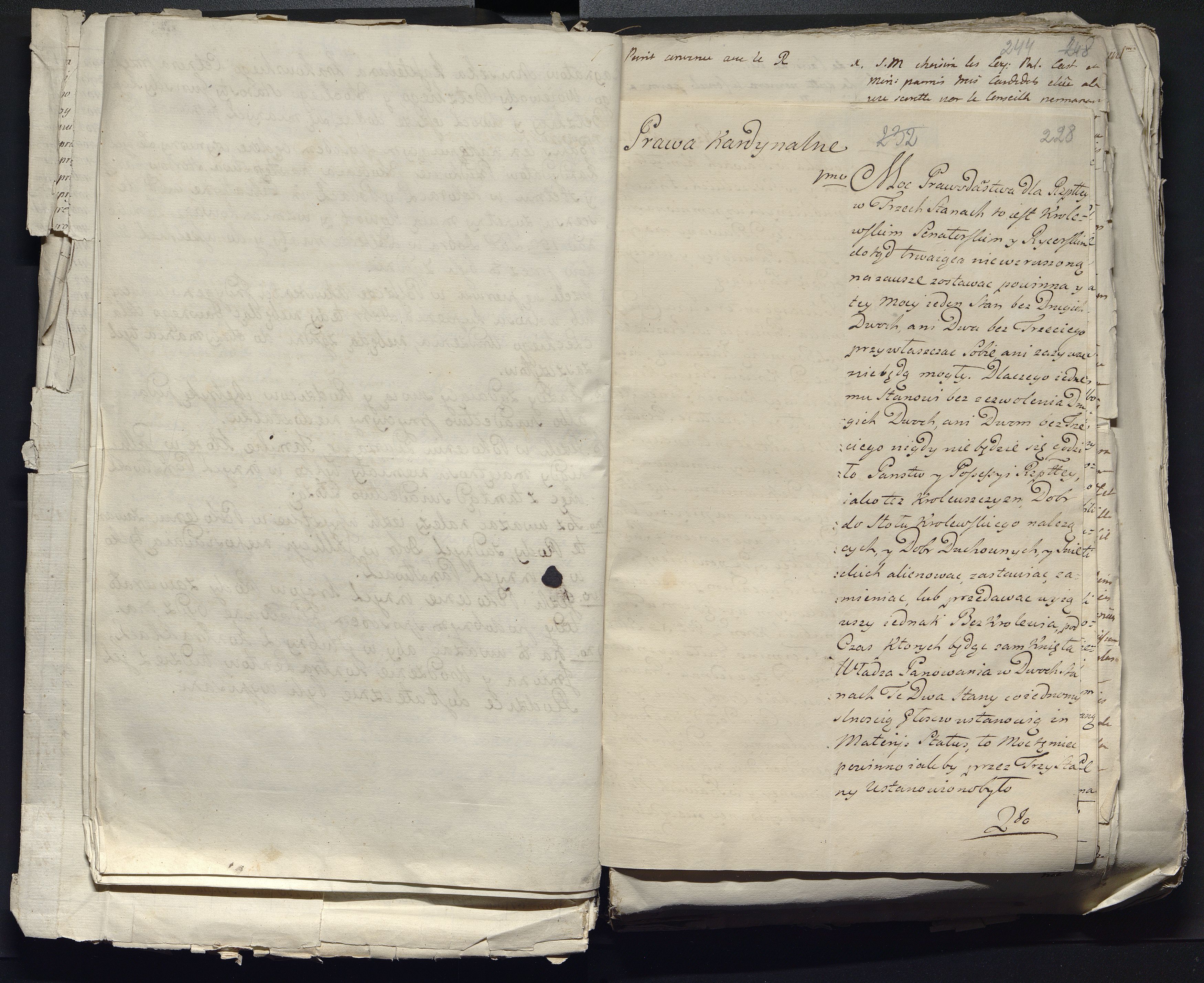 1_335_0_0_313-12_0145