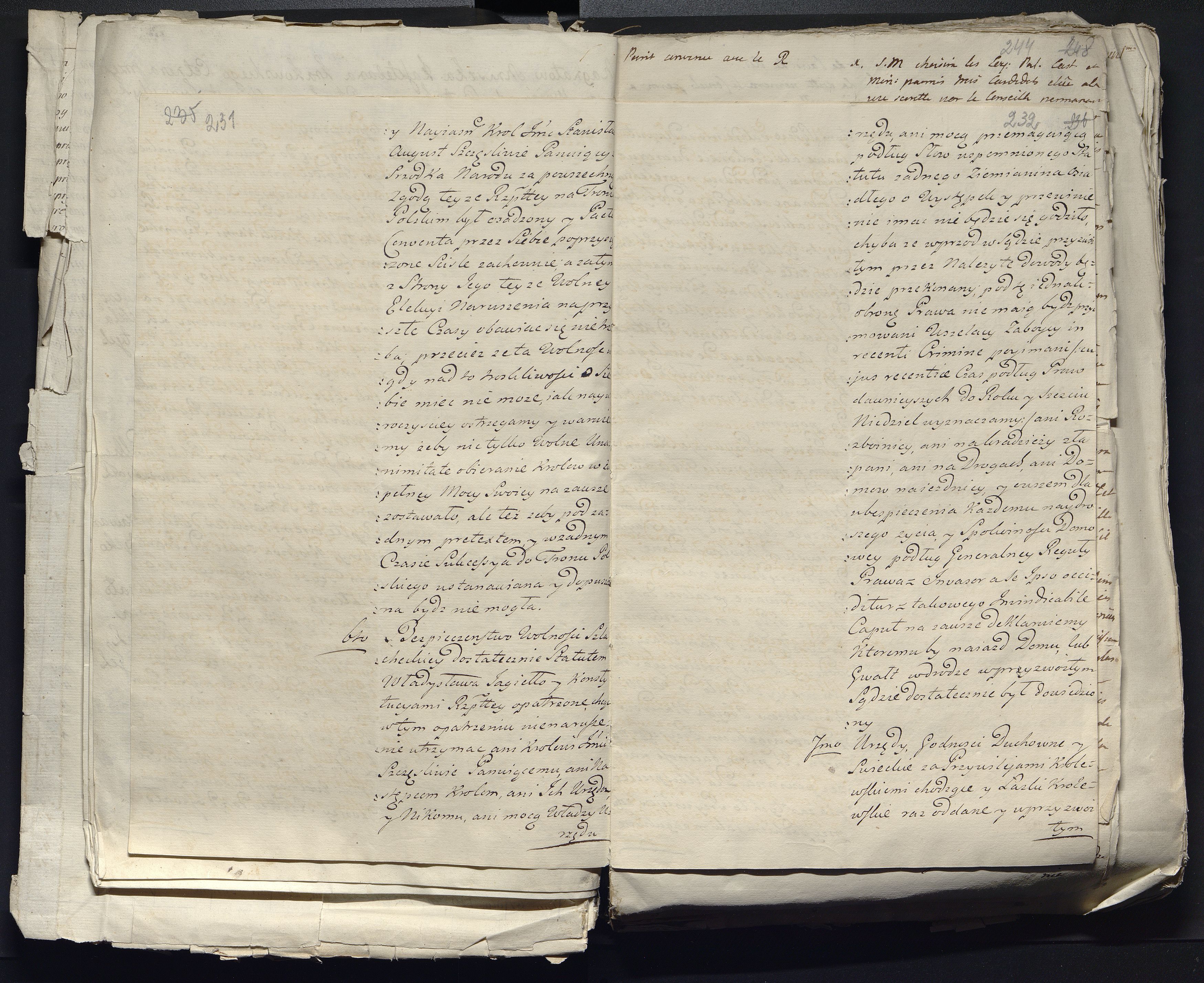 1_335_0_0_313-12_0147