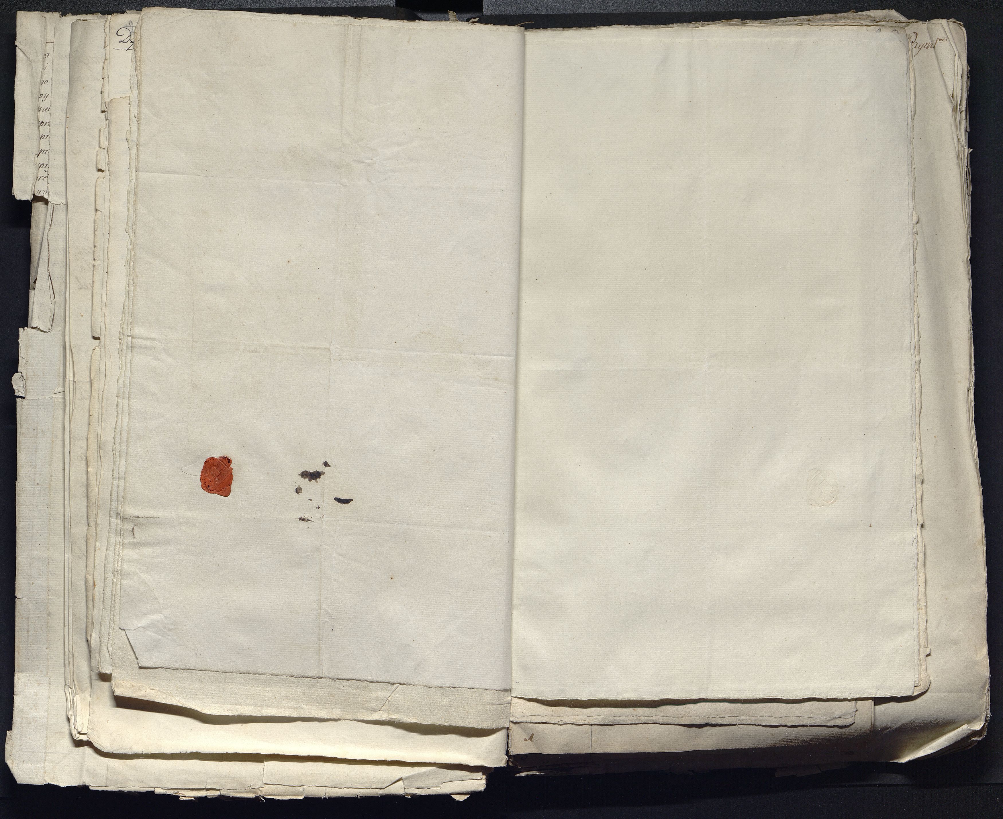 1_335_0_0_313-12_0168