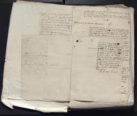 1_335_0_0_313-12_0013