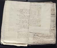 1_335_0_0_313-12_0044