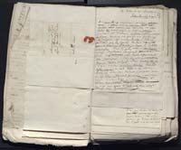 1_335_0_0_313-12_0061