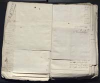 1_335_0_0_313-12_0066