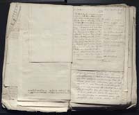 1_335_0_0_313-12_0081