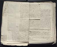 1_335_0_0_313-12_0100