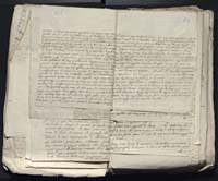 1_335_0_0_313-12_0103