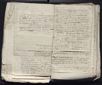 1_335_0_0_313-12_0105