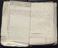 1_335_0_0_313-12_0131