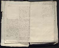 1_335_0_0_313-12_0152