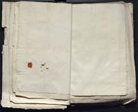 1_335_0_0_313-12_0168