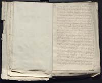 1_335_0_0_313-12_0169