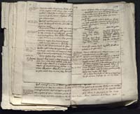 1_335_0_0_313-12_0184