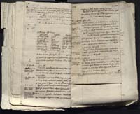 1_335_0_0_313-12_0195